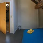 1752 * リングゲンベルク